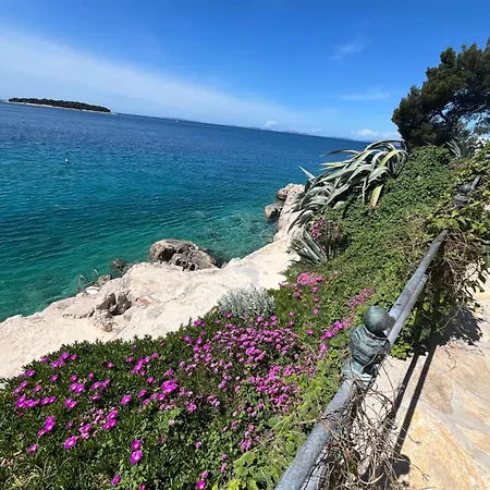 Sea View House Lejlighed